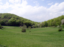 Natura 2000 site no longer damaged